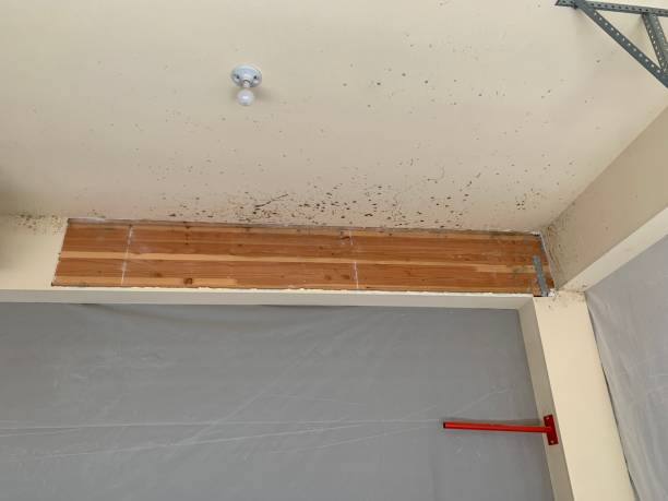 Mold Remediation for Rental Properties in Mason, OH